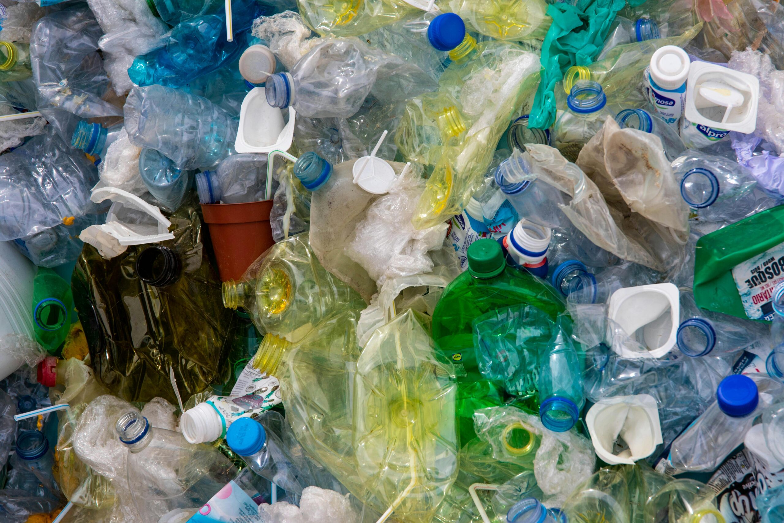 Breaking the Plastic Cycle: Innovation and Action